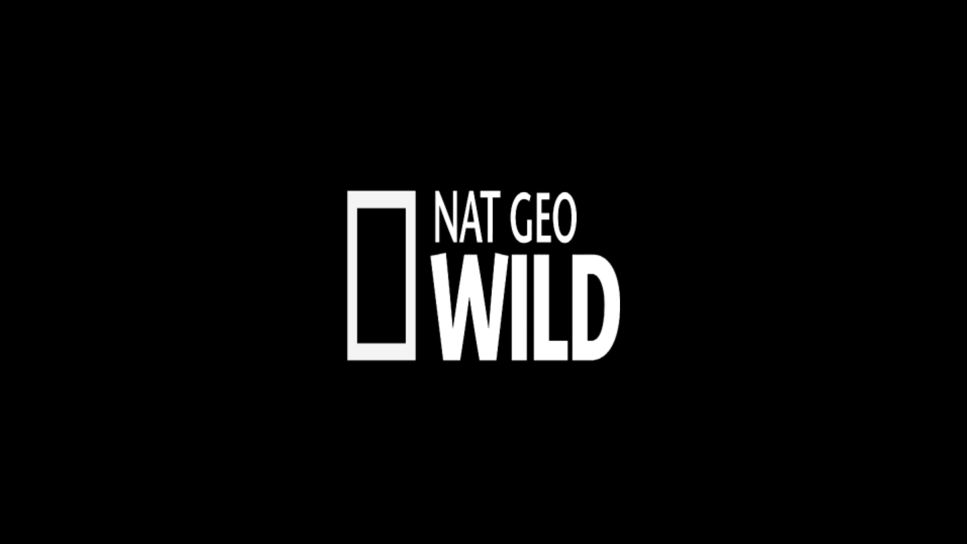 NatGeo Wild ao vivo,NatGeo Wild online,assistir NatGeo Wild,assistir NatGeo Wild ao vivo,assistir NatGeo Wild online,NatGeo Wild gratis,assistir NatGeo Wild gratis,ao vivo online,ao vivo gratis,ver NatGeo Wild,ver NatGeo Wild ao vivo,ver NatGeo Wild online,24 horas,24h,multicanais,piratetv,piratatvs.com